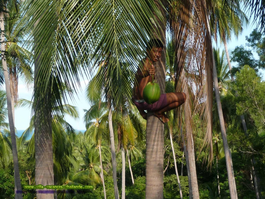 la villa Paris en bordure de cocoteraie avec le sourire des jeunes Thaïlandais